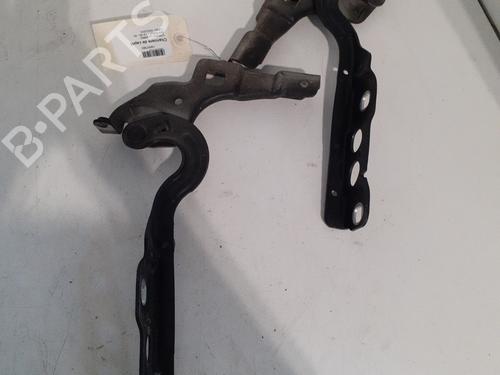 hingedoor-check-strap-citroen-ds4-nx_-2011-2012-2013-2014-2015-27708758 main image