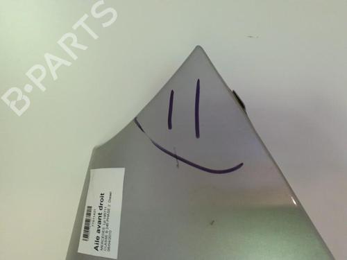 Used Right front fenders MERCEDES-BENZ B-CLASS Sports Tourer (W245) B 180 CDI (245.207) (109 hp) 24746330