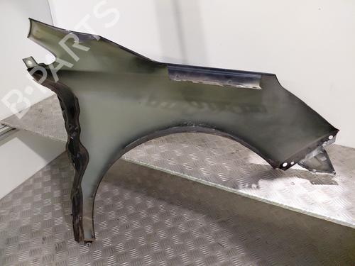 Left front fenders CITROËN C4 II (NC_) 1.2 THP 130 (NCHNYM, NCHNYT) | BP29083171C41 