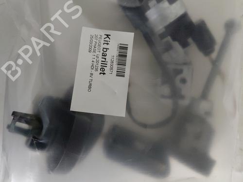 Used Ignition barrel PEUGEOT 207 (WA_, WC_) 1.4 HDi (68 hp) 29320025