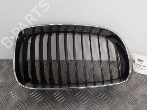 Grille BMW 1 (E87) 118 d | BP24761471C40 