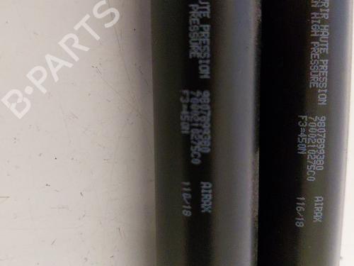Used Tailgate lift support PEUGEOT 308 II (LB_, LP_, LW_, LH_, L3_) 1.5 BlueHDi 130 (131 hp) 30535828