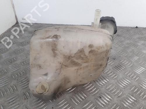 Used Expansion tank Expansion tank RENAULT TWINGO II (CN0_) 1.2 16V (CN04, CN0B) (75 hp) 24749563 24749563