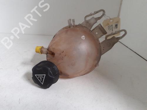 Expansion tank PEUGEOT 208 I (CA_, CC_) 1.6 HDi | BP24753358C120 