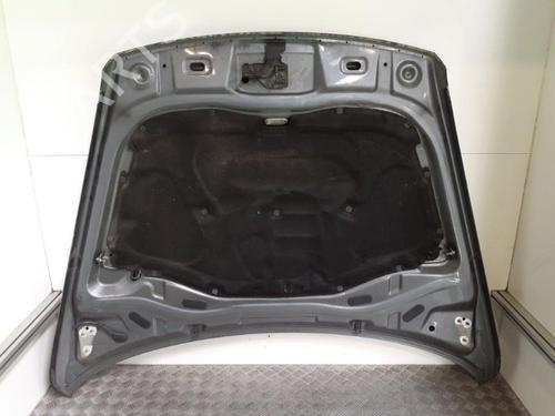 Hood VW TOUAREG (7LA, 7L6, 7L7) 2.5 R5 TDI | BP24761503C1 