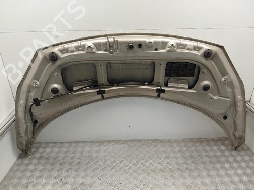 hood-renault-scenic-ii-jm01_-2003-2004-2005-2006-2007-2008-2009-2010-39494871 main image