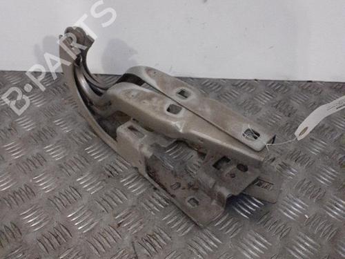 Hinge/Door check strap PEUGEOT 3008 I MPV (0U_) 1.6 HDi | BP24759299C146 