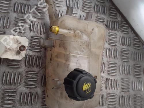 Used Expansion tank RENAULT SCÉNIC III (JZ0/1_) 1.5 dCi (106 hp) 24757222