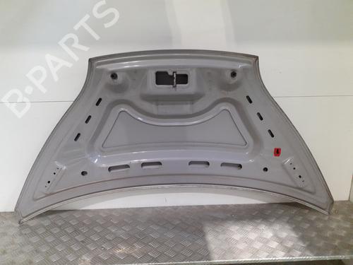 hood-bluecar-blueutility-2011-33421058 main image