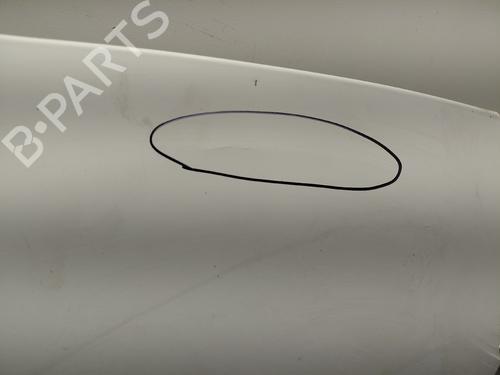 Used Hood Hood CITROËN BERLINGO Box Body/MPV (B9) [2008-2026] 36027202 36027202