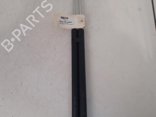 Used Hood lift support PEUGEOT 106 II (1A_, 1C_) 1.1 i (60 hp) 24974837