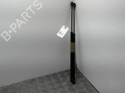 Tailgate lift support FORD FIESTA V (JH_, JD_) 1.6 TDCi | BP24739580C138 