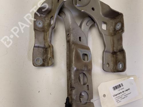 Used Hinge/Door check strap Hinge/Door check strap CITROËN C4 II (NC_) 1.6 HDi 90 (92 hp) 33877156 33877156
