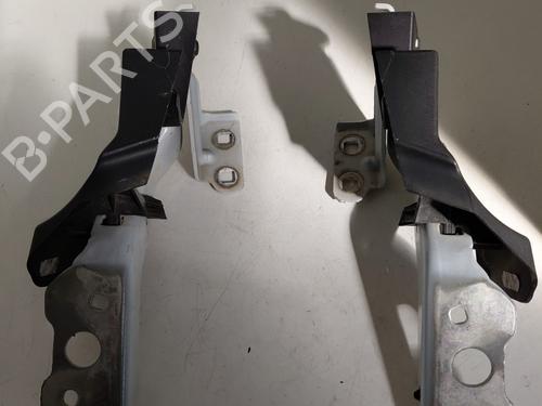 Used Hinge/Door check strap RENAULT MASTER III Van (FV) 2.3 dCi 135 FWD (FV0N, FV08, FV06, FV00, FV1S) (136 hp) 29251578