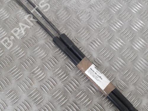 Used Tailgate lift support MERCEDES-BENZ A-CLASS (W169) A 180 CDI (169.007, 169.307) (109 hp) 24760085