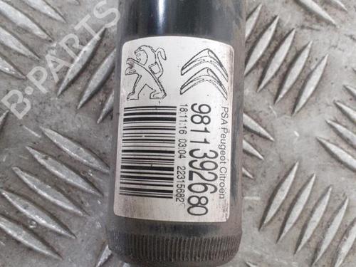 Left rear shock absorber CITROËN C3 III (SX) 1.2 VTi 82 | BP24747605M18 - Image 2