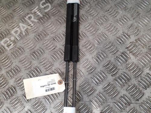Used Tailgate lift support HYUNDAI KONA (OS, OSE, OSI) 1.6 CRDi e-VGT (136 hp) 24756349