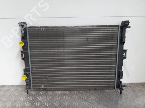 Køler RENAULT MEGANE II Coupé-Cabriolet (EM0/1_) 1.6 (113 hp) 24741814