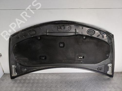 hood-renault-clio-iii-grandtour-kr01_-2007-38514336 main image