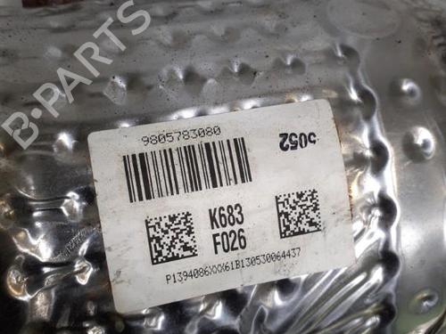 Used Catalyst CITROËN DS5 1.6 HDi 115 (114 hp) 24741888