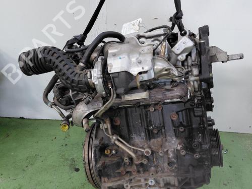 Engine RENAULT KOLEOS I (HY_) 2.0 dCi 4x4 (HY0B) | BP38637668M1 - Image 2