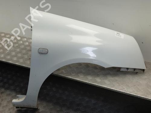 Parafango anteriore destro Parafango anteriore destro RENAULT CLIO II (BB_, CB_) [1998-2016] 36481277 36481277
