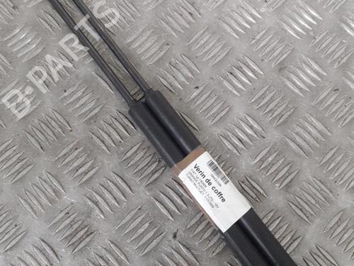 Used Tailgate lift support FIAT GRANDE PUNTO (199_) 1.3 D Multijet (75 hp) 24749690