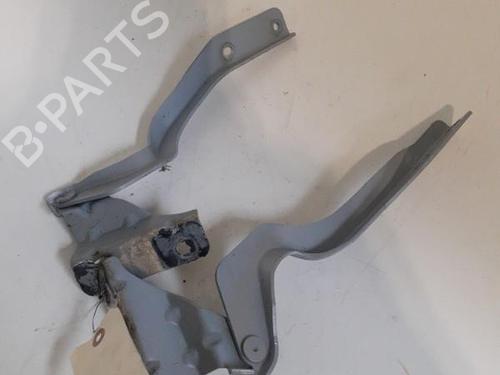 Hinge/Door check strap NISSAN QASHQAI / QASHQAI +2 I (J10, NJ10, JJ10E)  | BP24751095C146 