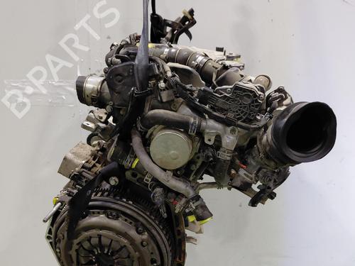 Engine RENAULT KANGOO Express (FW0/1_) 1.5 dCi 80 (FW15) | BP39517447M1 - Image 5