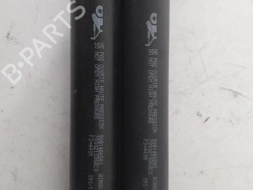 Used Tailgate lift support CITROËN C3 Picasso (SH_) 1.6 HDi (90 hp) 24750613