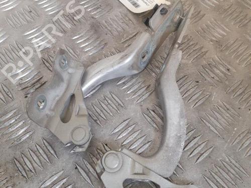 Hinge/Door check strap CHEVROLET AVEO / KALOS Hatchback (T250, T255) 1.2 LPG | BP24760050C146