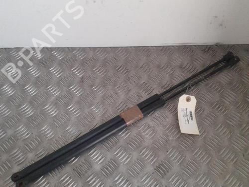 Used Tailgate lift support FORD FIESTA V (JH_, JD_) 1.4 TDCi (68 hp) 24739863