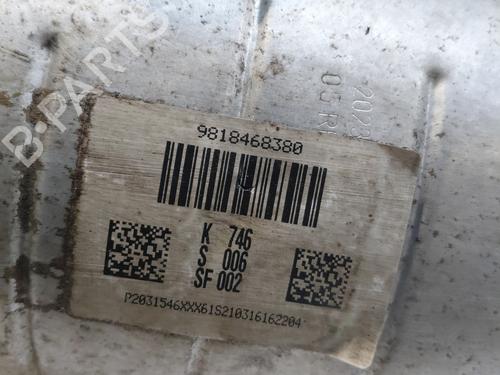 Particulate filter CITROËN JUMPY III Van (V_) 1.5 BlueHDi 100 | BP31166020M81