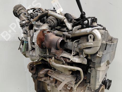 Engine RENAULT KANGOO Express (FW0/1_)  | BP35918510M1  - Image 5