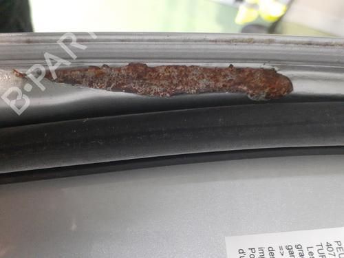 Left rear door PEUGEOT 407 (6D_) 1.6 HDi 110 (6D9HZC, 6D9HYC) | BP26520614C4 
