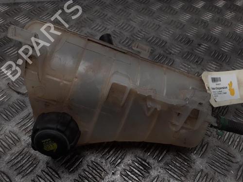 Expansion tank RENAULT KANGOO Express (FW0/1_) 1.5 dCi 75 (FW07, FW10, FW04) | BP24762011C120 