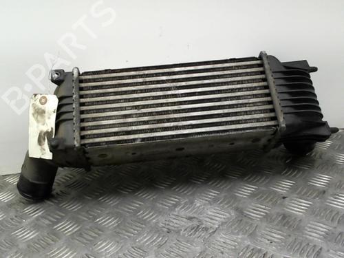 Used Intercooler PEUGEOT 407 (6D_) 1.6 HDi 110 (6D9HZC, 6D9HYC) (109 hp) 24759483