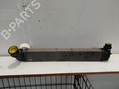 Used Intercooler Intercooler RENAULT GRAND SCÉNIC III (JZ0/1_) 1.5 dCi (JZ09, JZ0D, JZ10, JZ14, JZ1G, JZ29, JZ2C) (110 hp) 40123029 40123029
