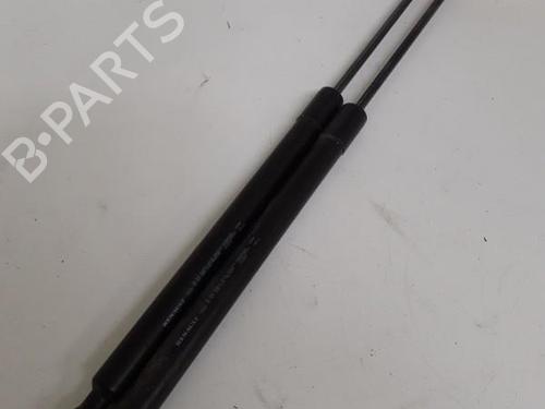 tailgate-lift-support-dacia-lodgy-js_-2012-24750904 main image