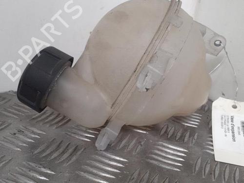 Used Expansion tank CITROËN C4 II (NC_) 1.6 HDi 90 (92 hp) 24760102