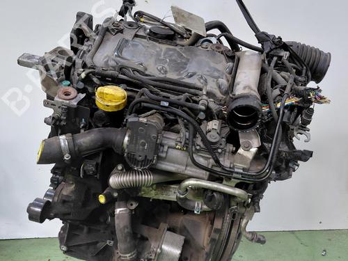 Engine RENAULT KOLEOS I (HY_) 2.0 dCi 4x4 (HY0B) | BP38637668M1 - Image 6