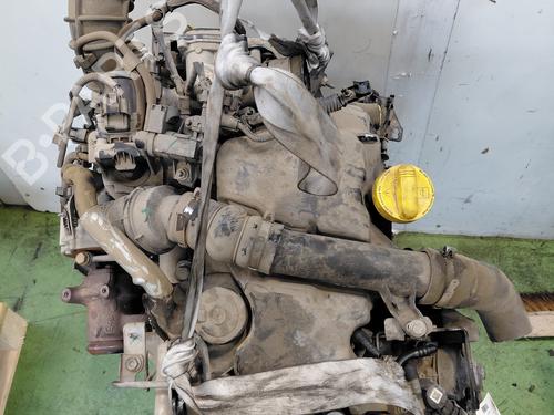 Engine RENAULT KANGOO Express (FW0/1_)  | BP34039341M1  - Image 7