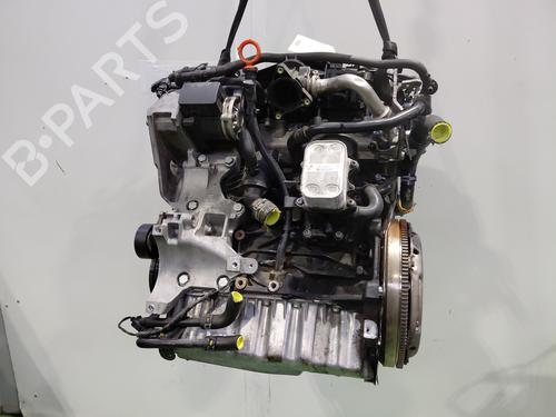 Used Engine SKODA FABIA II (542) 1.6 TDI (75 hp) 31097368