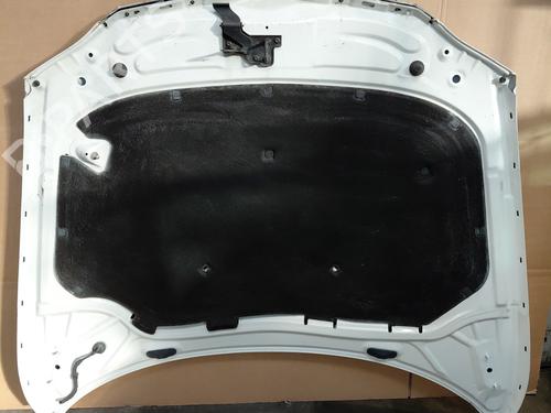 Used Hood Hood SKODA SUPERB II (3T4) 1.6 TDI (105 hp) 36096445 36096445