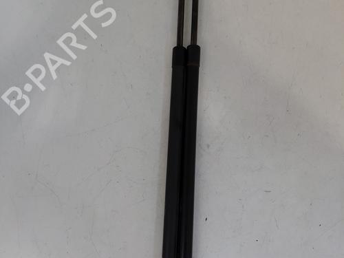Used Tailgate lift support RENAULT GRAND SCÉNIC III (JZ0/1_) 1.9 dCi (JZ0J, JZ0N, JZ1K, JZ1S) (131 hp) 29004363