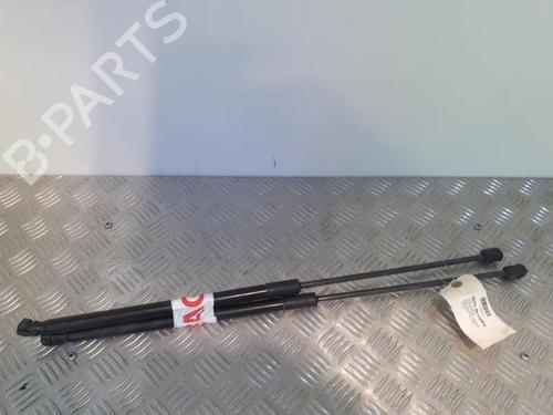 Used Tailgate lift support OPEL CORSA D (S07) 1.3 CDTI (L08, L68) (95 hp) 24751438
