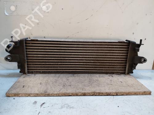 Intercooler RENAULT TRAFIC II Bus (JL) 2.0 dCi 90 (JL00, JL01, JL0H, JL0M, JL0P, JL0S) | BP29251577M30 