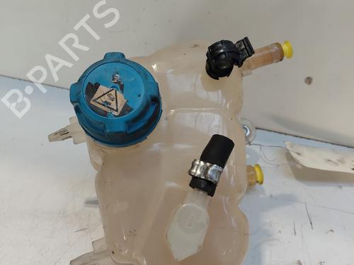 Expansion tank FIAT 500 C (312_) 0.9 (312AG1A) | BP29343536C120