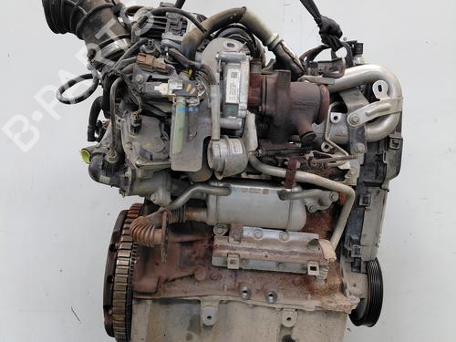 Engine RENAULT KANGOO Express (FW0/1_) | BP34039347M1 - Image 3