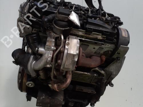 Engine SKODA FABIA II (542) 1.6 TDI | BP27981074M1 - Image 4